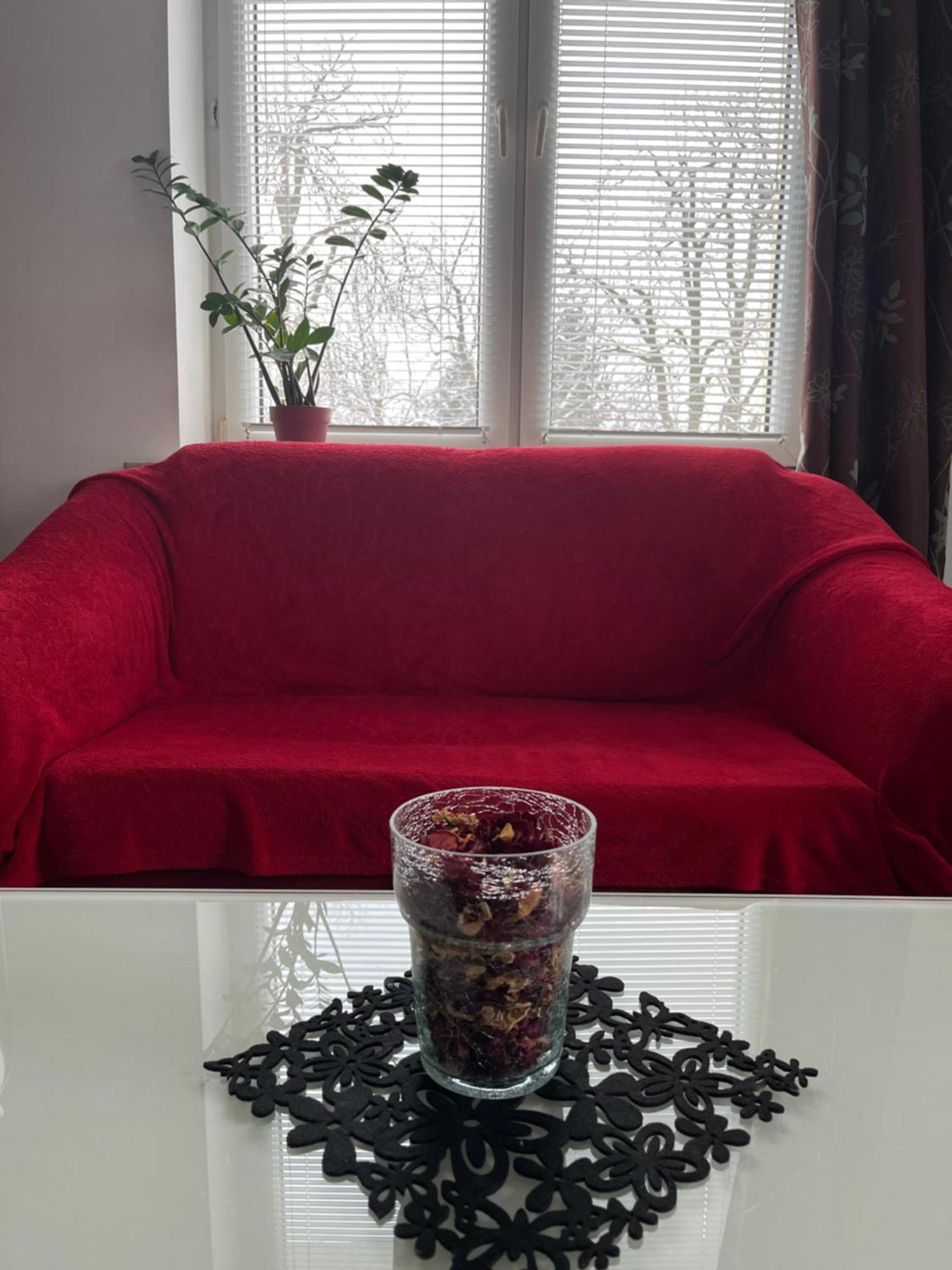 Apartament Przy Parku Czartoryskich - Faktury Vat - Parking ปูวาวือ ภายนอก รูปภาพ